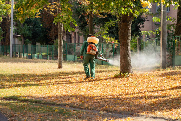 Best Local Pest Control Services  in Commerce, CA
