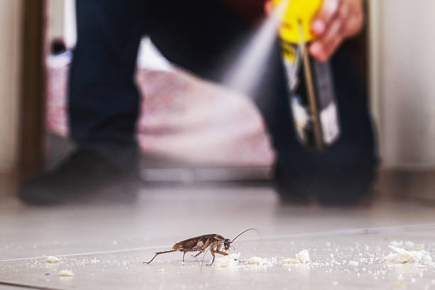 Best Wildlife Control Services  in Commerce, CA