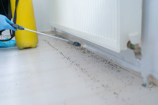 Best Best Pest Control Companies  in Commerce, CA